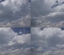 满冠体育官方- 孟菲斯灰熊新主教练 