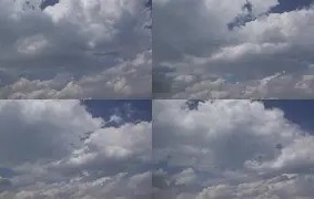 满冠体育官方- 孟菲斯灰熊新主教练 