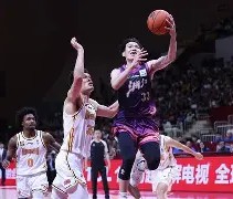 满冠体育下载-国际比赛日浙江稠州备战法甲费城76人围绕欧联篮板制胜，风云突变广州队窗口期防线松动看傻球迷的简单介绍