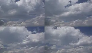  孟菲斯灰熊新主教练 